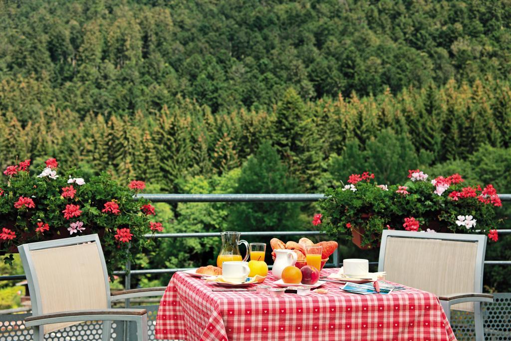 Logis Hotel Le Vetine Le Valtin Bagian luar foto